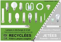 Recyclage lampes basses consommation