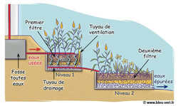 Schema phytoepuration